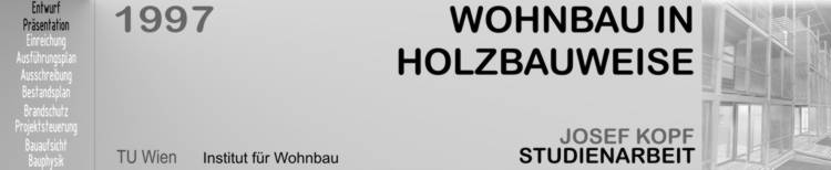 Wohnbau in Holzbauweise Elementbauweise vorgefertigtes Bauen
