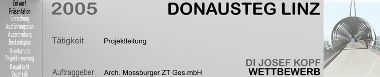Donau Steg Linz